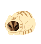 正月 フクロモモンガ（個別スタンプ：24）