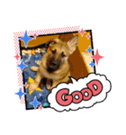 ボンちゃんシリーズ（個別スタンプ：3）