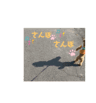 モカりんぐすの日常3（個別スタンプ：13）
