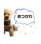 モカりんぐすの日常3（個別スタンプ：14）