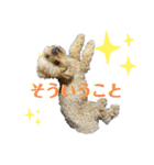 モカりんぐすの日常3（個別スタンプ：16）