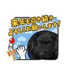 第2トイプーたん（個別スタンプ：1）