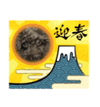 第2トイプーたん（個別スタンプ：4）