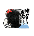 第2トイプーたん（個別スタンプ：5）