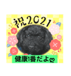 第2トイプーたん（個別スタンプ：7）