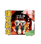 ベりーとしゅなまる3（個別スタンプ：2）