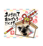 ベりーとしゅなまる3（個別スタンプ：3）