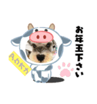 ベりーとしゅなまる3（個別スタンプ：6）
