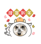 ベりーとしゅなまる3（個別スタンプ：8）