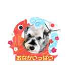 ベりーとしゅなまる3（個別スタンプ：9）