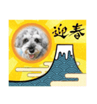 ベりーとしゅなまる3（個別スタンプ：11）