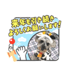 ベりーとしゅなまる3（個別スタンプ：13）