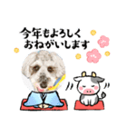 ベりーとしゅなまる3（個別スタンプ：14）