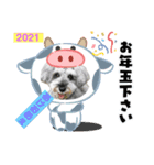 ベりーとしゅなまる3（個別スタンプ：16）