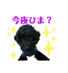 トイプードルfamily2（個別スタンプ：9）