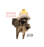 シュナウザー クゥ正月＆xmas（個別スタンプ：6）
