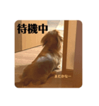 ノエベー（個別スタンプ：5）