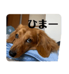 ノエベー（個別スタンプ：8）