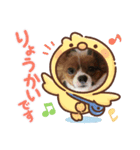 ワンコリズ2（個別スタンプ：1）