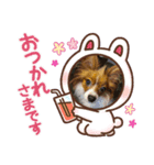 ワンコリズ2（個別スタンプ：4）