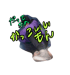 ココリ田中スタンプ（個別スタンプ：5）