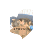 チョコたんシリーズ❤︎（個別スタンプ：6）