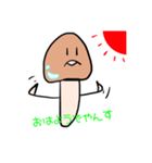 なめこに似た人1／1（個別スタンプ：1）