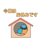 私のカワセミくん（個別スタンプ：8）