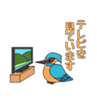 私のカワセミくん（個別スタンプ：28）