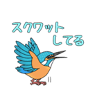 私のカワセミくん（個別スタンプ：32）