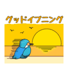 私のカワセミくん（個別スタンプ：36）