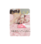 イヴ＆モカ（個別スタンプ：5）