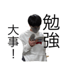 KamiSTAMPs（個別スタンプ：5）