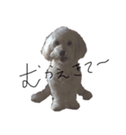 おまぬけコットン（個別スタンプ：8）