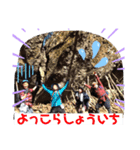 登山ぶー 金時山編（個別スタンプ：5）