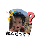 登山ぶー 金時山編（個別スタンプ：7）