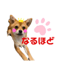 ロクすたんぷ4（個別スタンプ：6）