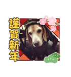 Let’s go アントニィ ②（個別スタンプ：4）
