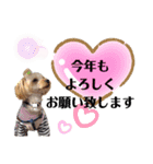 vivi chan5（個別スタンプ：2）