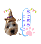 vivi chan5（個別スタンプ：11）