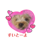 vivi chan5（個別スタンプ：14）