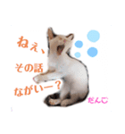 せぇちゃんスタンプ（個別スタンプ：6）