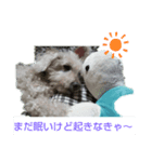 ハウオリスタンプ♪（個別スタンプ：1）