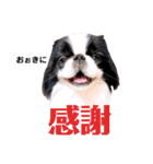 さぁちんファミリー（個別スタンプ：32）