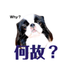 さぁちんファミリー（個別スタンプ：36）