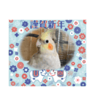 コタまるのお正月（個別スタンプ：6）