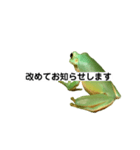 イエアメガエル 月と曜日とお知らせ（個別スタンプ：33）