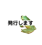 イエアメガエル 月と曜日とお知らせ（個別スタンプ：34）