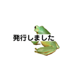 イエアメガエル 月と曜日とお知らせ（個別スタンプ：35）