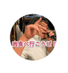 ふぅちゃんとだいごろ（個別スタンプ：1）